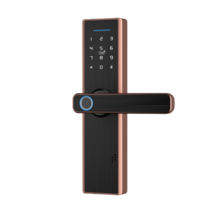 Cerradura Inteligente X9 TTLock Biométrica