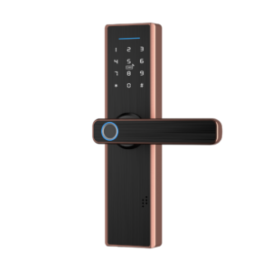 Cerradura Inteligente X9 TTLock Biométrica